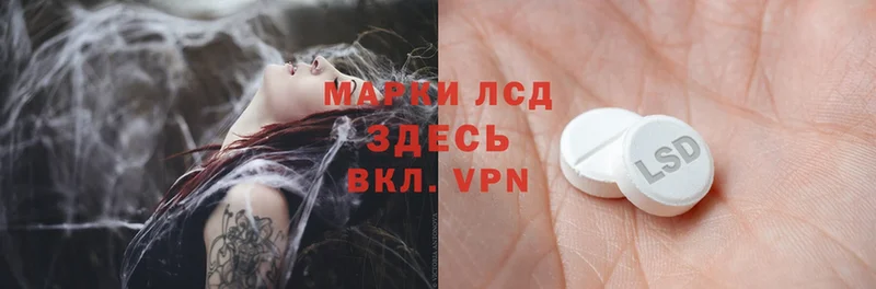 как найти   Курчалой  Лсд 25 экстази ecstasy 